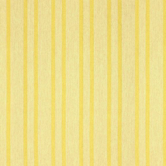 Caribbean Stripe - 10449784