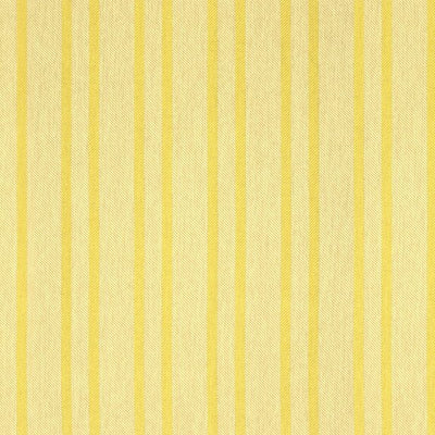 Caribbean Stripe - 10449784