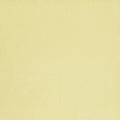 Caribbean Check - 10450784