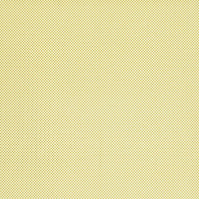 Caribbean Check - 10450784