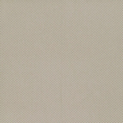 Caribbean Check - 10450894