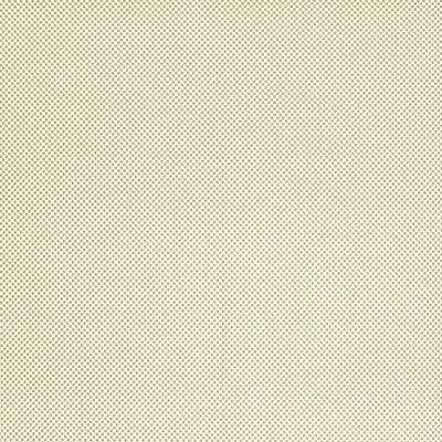 Caribbean Check - 10450981