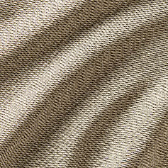 Savannah - 10456884