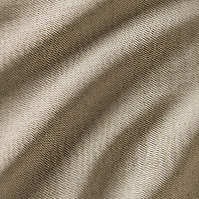 Savannah - 10456884