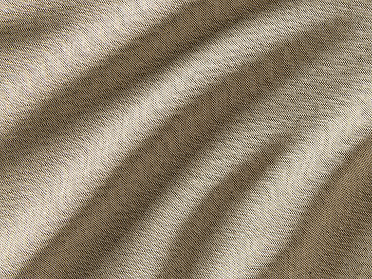 Savannah - 10456884