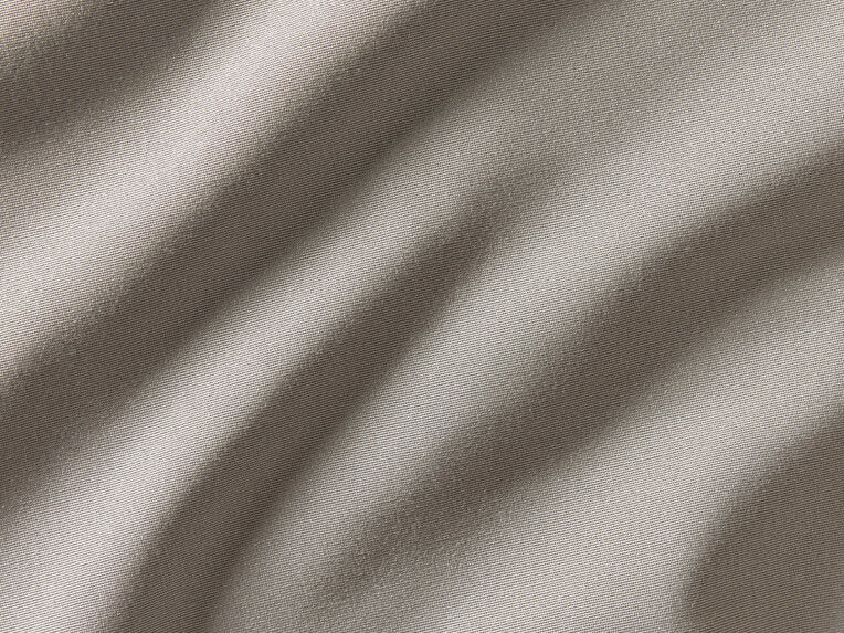 Savannah - 10456994