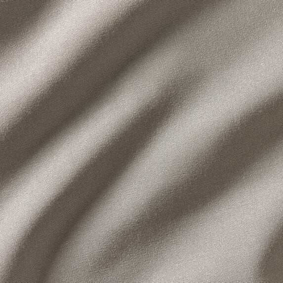 Savannah - 10456994