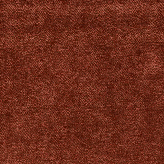 Amaro - 10563337
