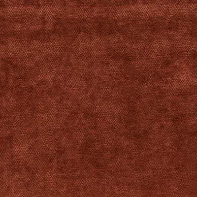 Amaro - 10563337