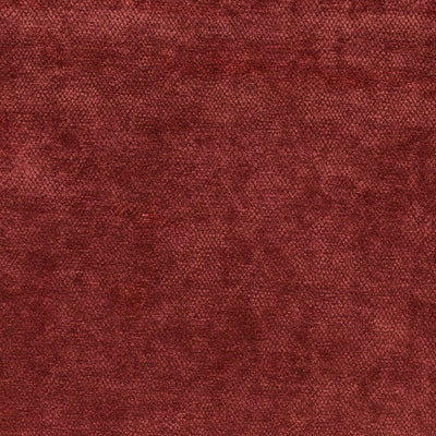 Amaro - 10563345