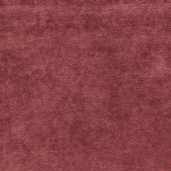 Amaro - 10563445