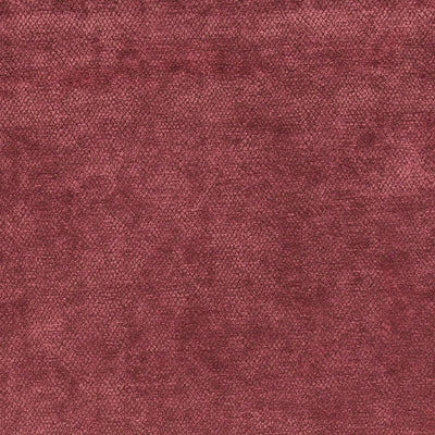Amaro - 10563445
