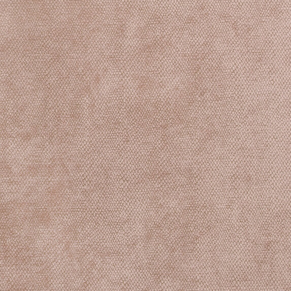 Amaro - 10563453