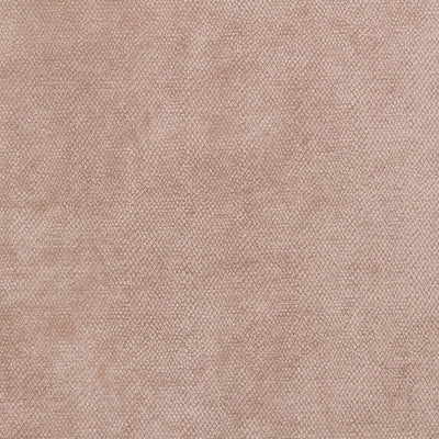 Amaro - 10563453
