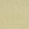 Amaro - 10563783