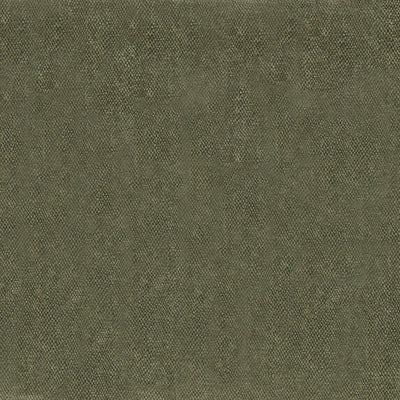 Amaro - 10563796