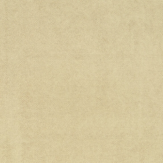 Amaro - 10563883
