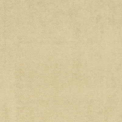 Amaro - 10563883
