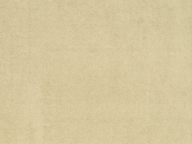 Amaro - 10563883