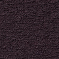 Pamir RE - 10897448