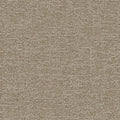 Pamir RE - 10897884