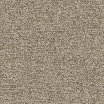 Pamir RE - 10897884