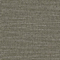 Moon Shadow FR RE - 10976795