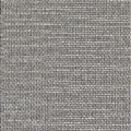 Moon Shadow FR RE - 10976994