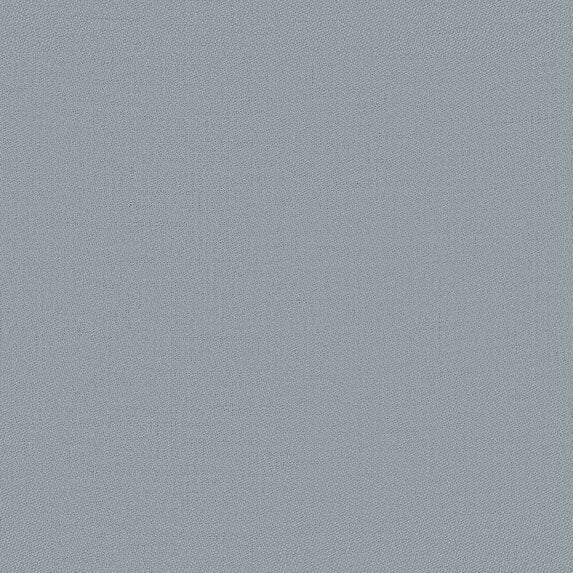 Palladium - 10981555