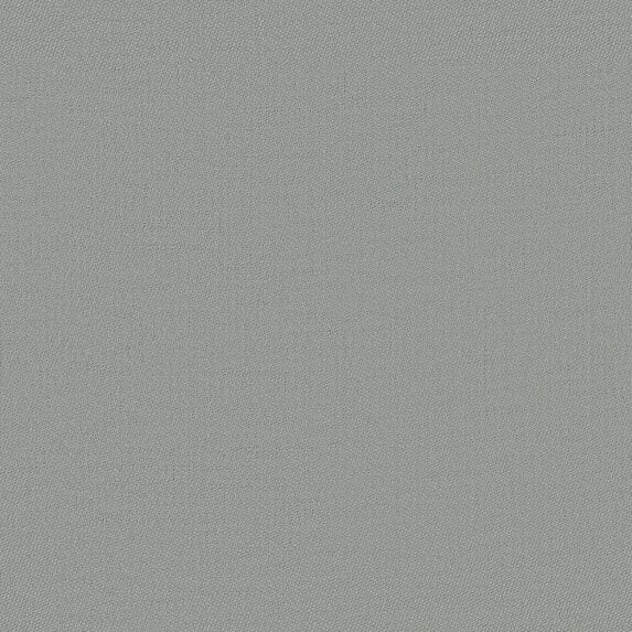 Palladium - 10981675