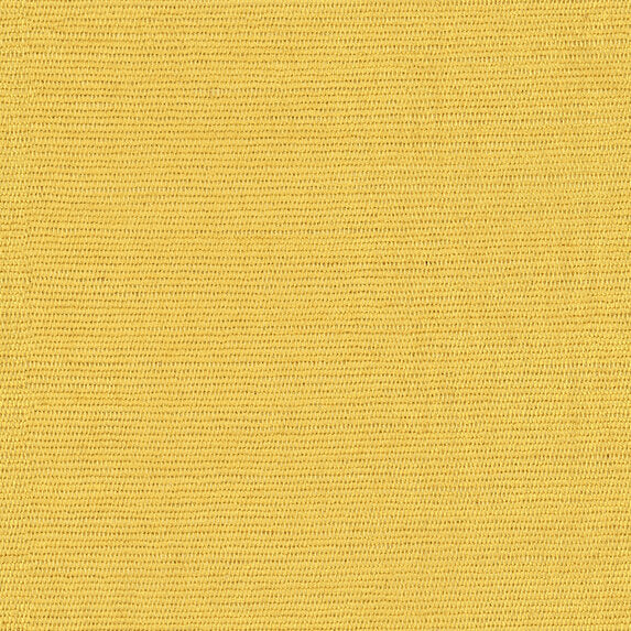 Elian - 10986113