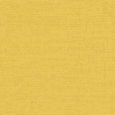 Elian - 10986113