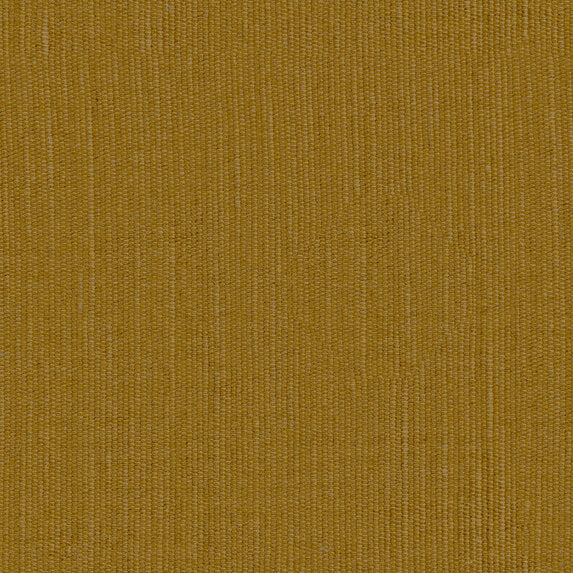 Elian - 10986214