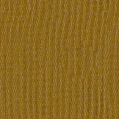 Elian - 10986214