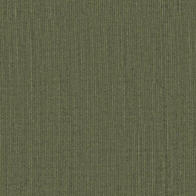 Elian - 10986777
