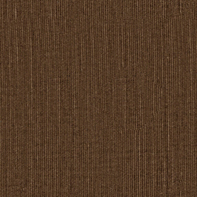 Elian - 10986825