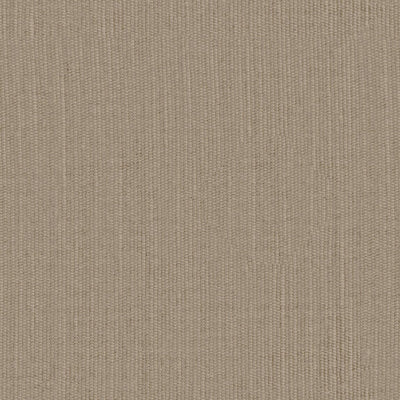 Elian - 10986884