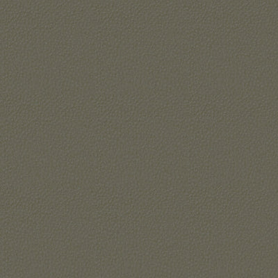 Nubuk - 10987798