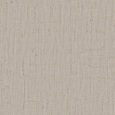 Coraro - 10988882