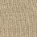 Zoe RE - 10993185