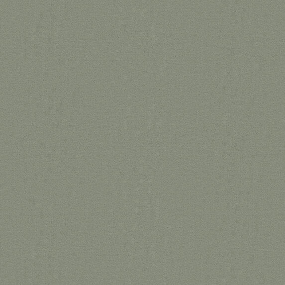 Joe - 11006762