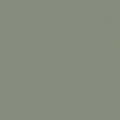 Joe - 11006762