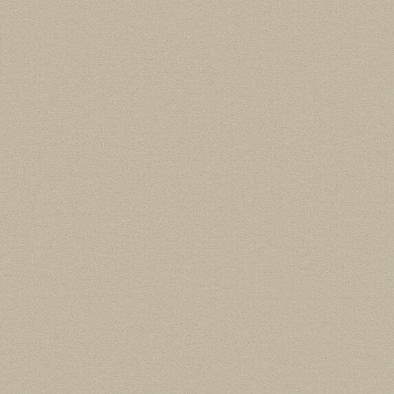 Joe - 11006980