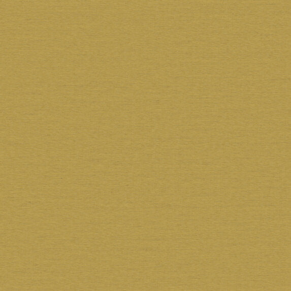Bela - 11013115