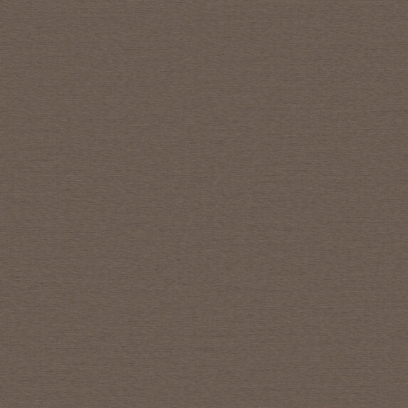 Bela - 11013887