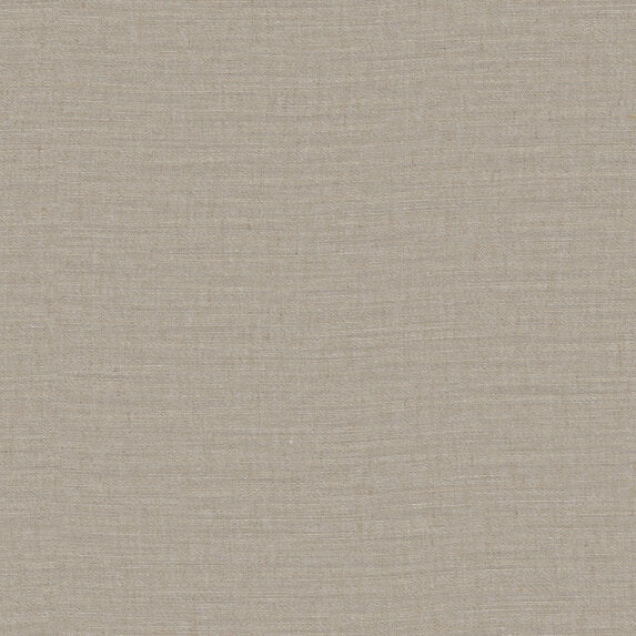Carole - 11014883