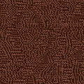 Nico - 11023235