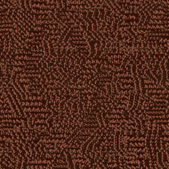 Nico - 11023235