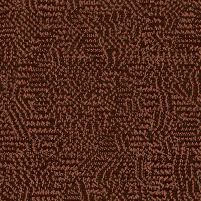 Nico - 11023235