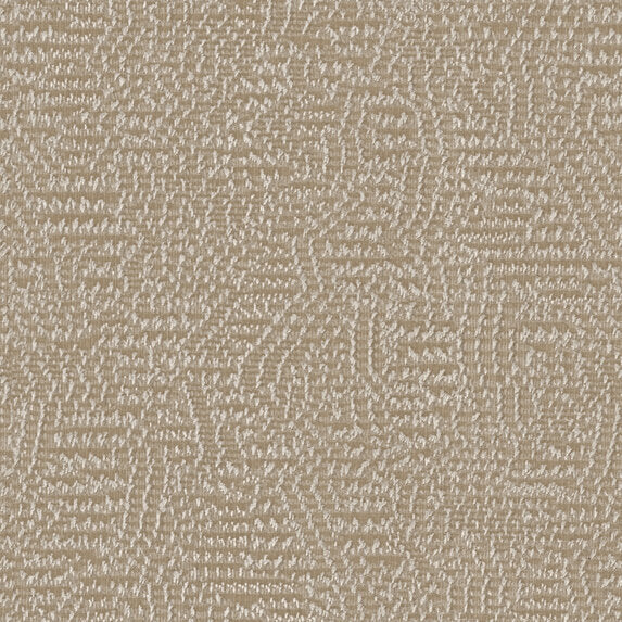 Nico - 11023882